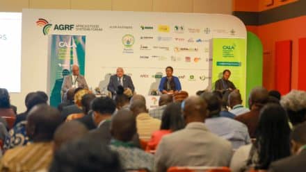 Africa’s food systems need to be reimagined – CALA forum to chart ways forward