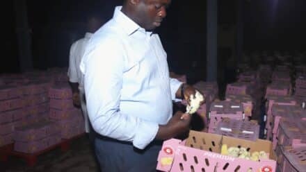 Poultry business growth has ripple effects for Nigerian smallholder farmers