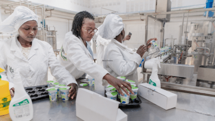 Dairy Dreams and Determination: Margaret’s Path to Transforming Dairy Farming in Eastern Kenya