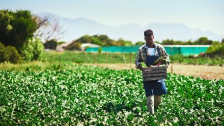 Skills development as a tool for sustainable progress towards SDG 2: Zero Hunger in Africa.